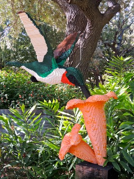 Hummingbird-Flower copy