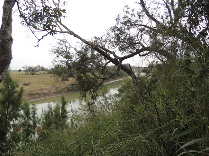 View of the Rio Grande from Santa Ana Refuge